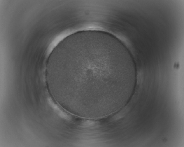 X0000113281374200909211029