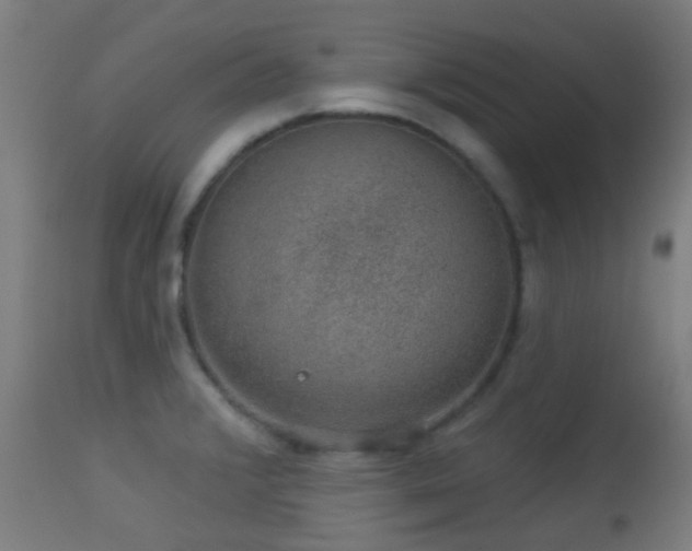 X0000113281376200909211029