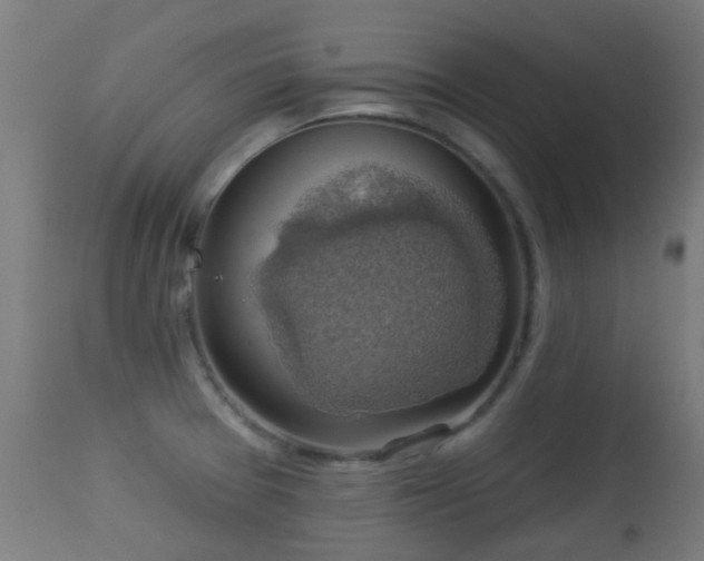 X0000113281377200909211029