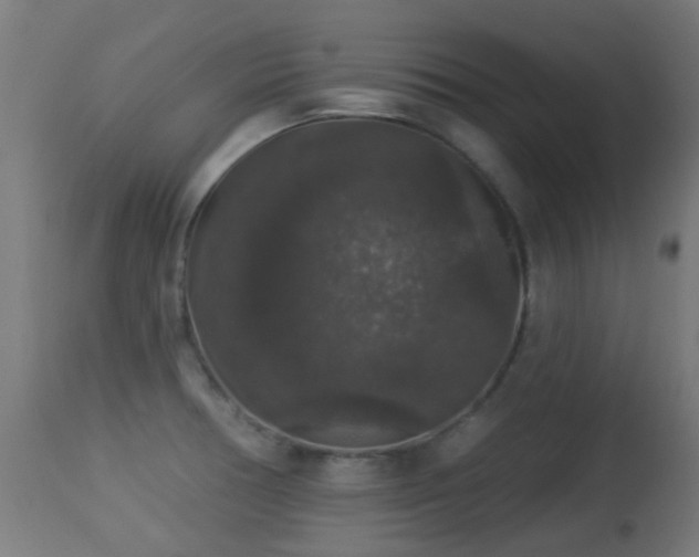 X0000113281378200909211029