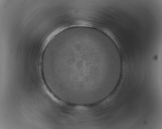 X0000113281379200909211029