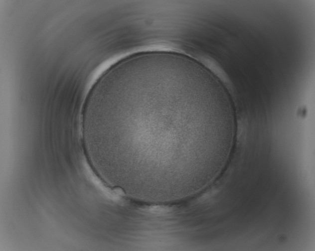 X0000113281380200909211029