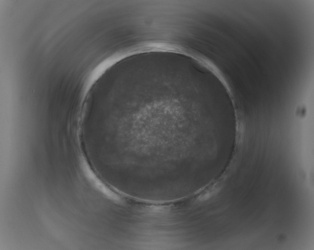 X0000113281381200909211029