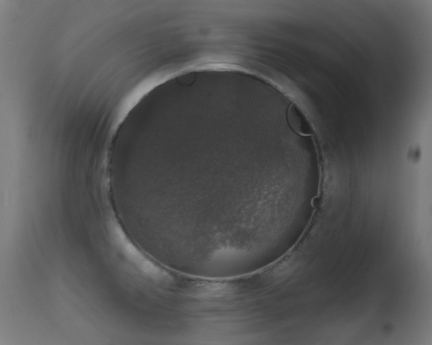 X0000113281382200909211029