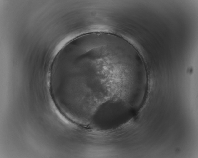 X0000113281383200909211029