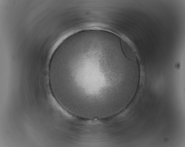 X0000113281384200909211029