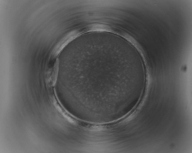 X0000113281385200909211029