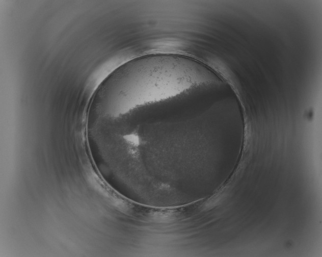 X0000113281386200909211029