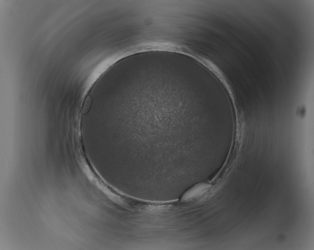 X0000113281389200909211029