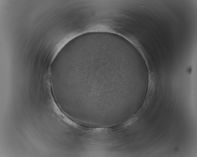 X0000113281390200909211029