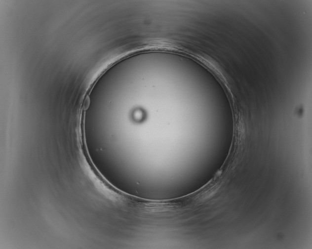 X0000113281391200909211029