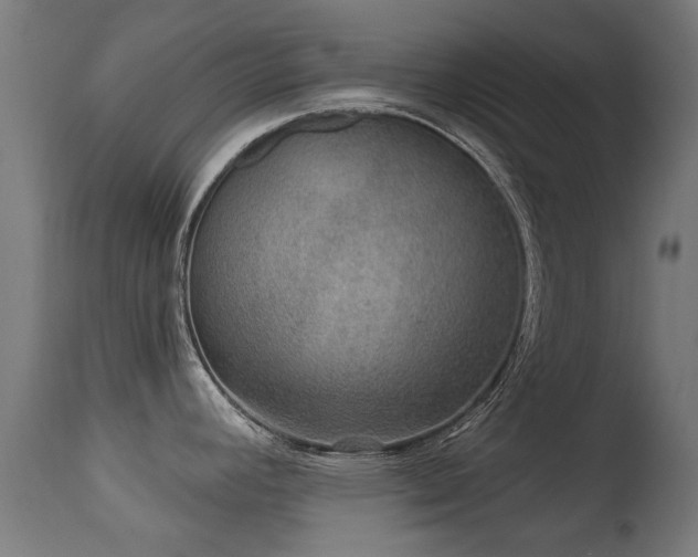 X0000113281392200909211029