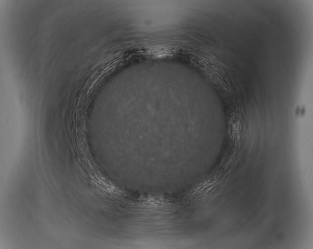 X0000113281393200909211028