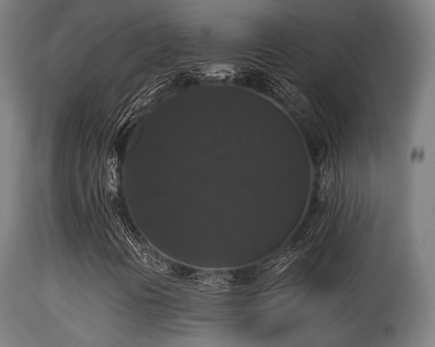 X0000113281394200909211028