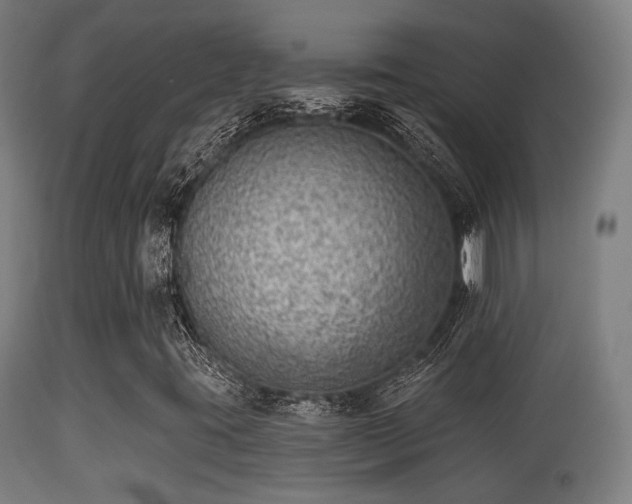 X0000113281395200909211028