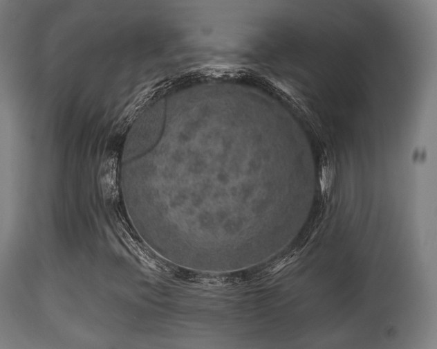 X0000113281396200909211028