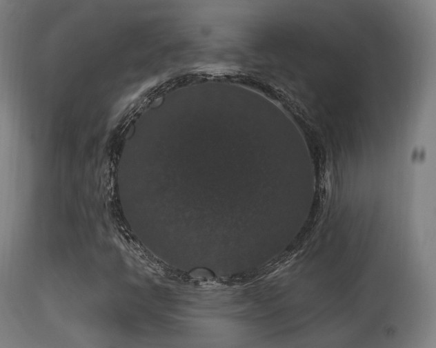 X0000113281398200909211028