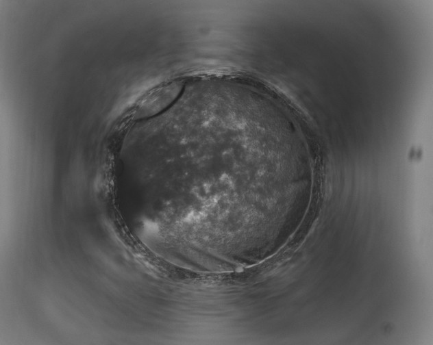 X0000113281399200909211028