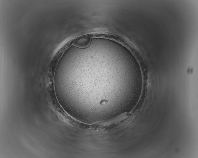 X0000113281400200909211028