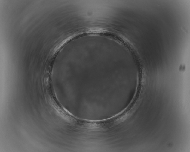 X0000113281401200909211028