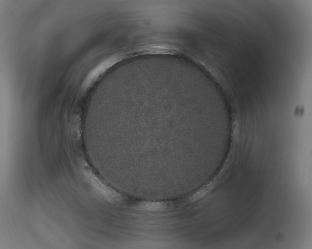 X0000113281402200909211028