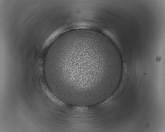 X0000113281403200909211028