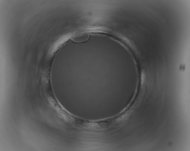 X0000113281405200909211028