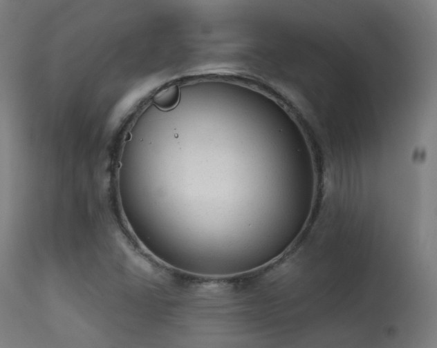 X0000113281406200909211028