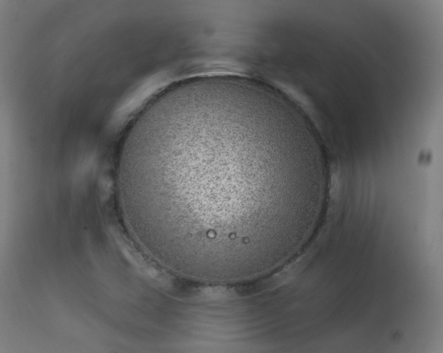 X0000113281407200909211028