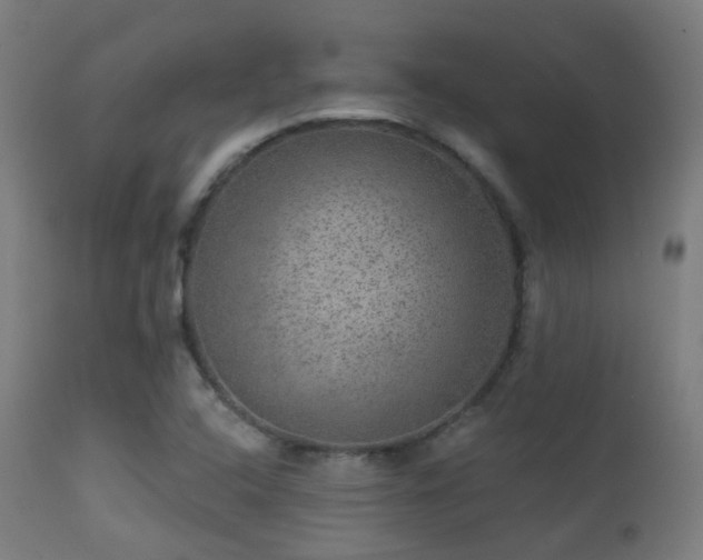 X0000113281408200909211028