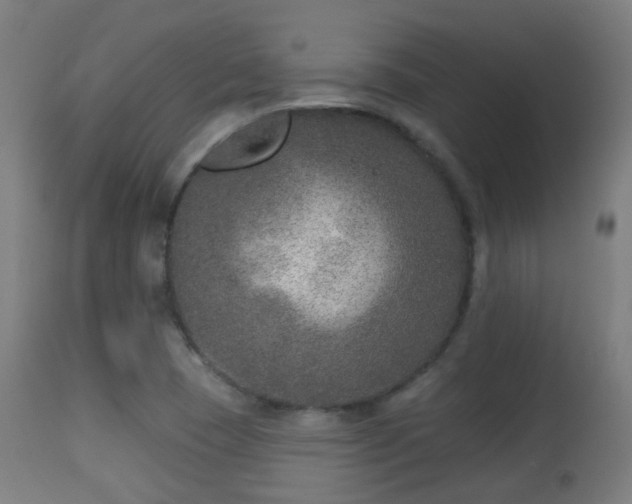 X0000113281409200909211028