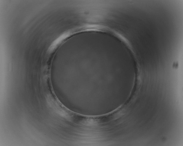 X0000113281411200909211028