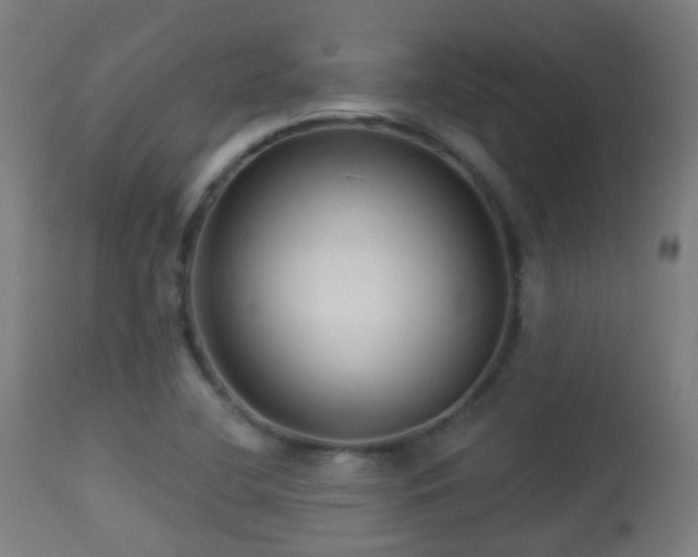 X0000113281412200909211028