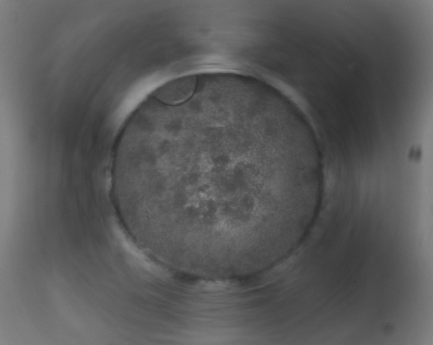 X0000113281415200909211029