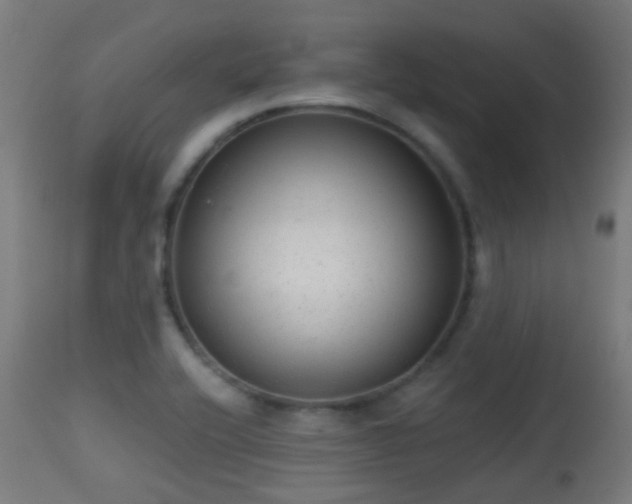 X0000113281416200909211029