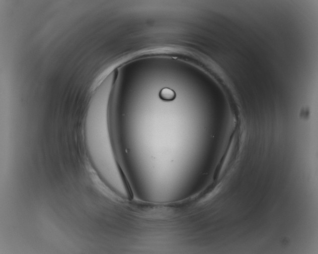 X0000113281417200909211029