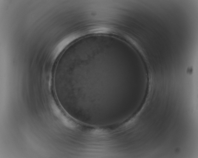 X0000113281418200909211029