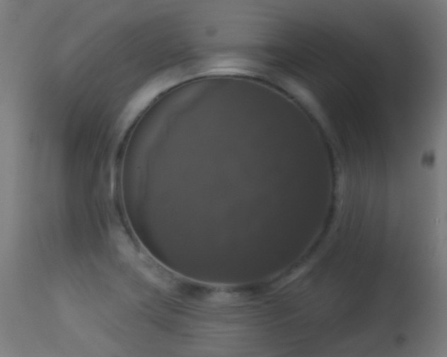 X0000113281419200909211029