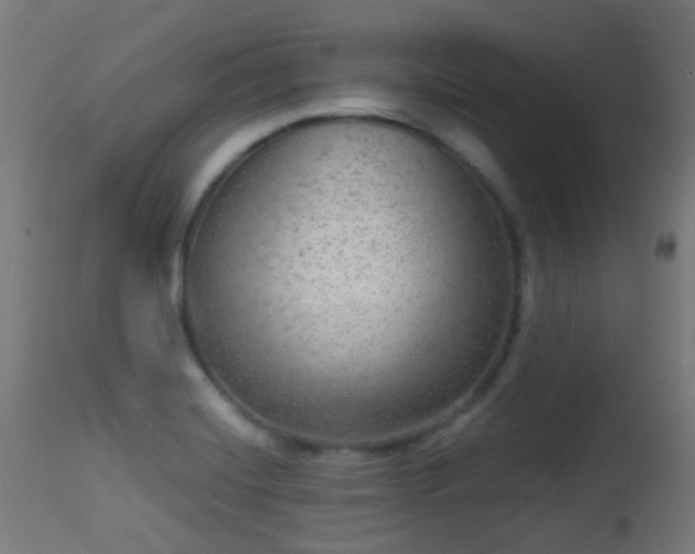 X0000113281420200909211029