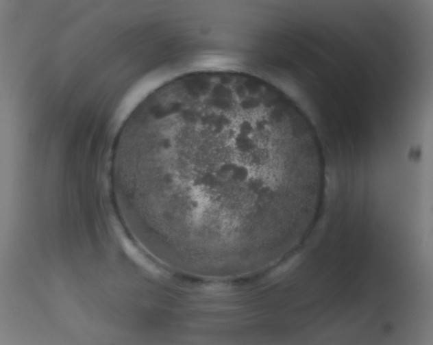 X0000113281421200909211029