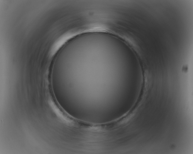 X0000113281422200909211029