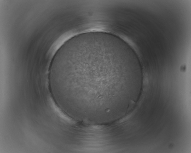 X0000113281423200909211029