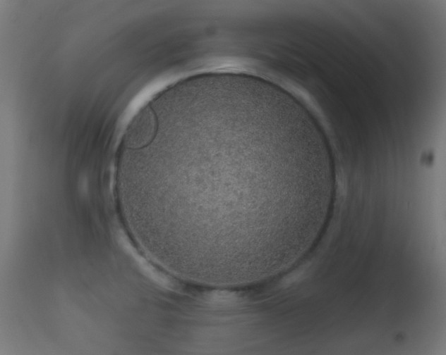 X0000113281424200909211029