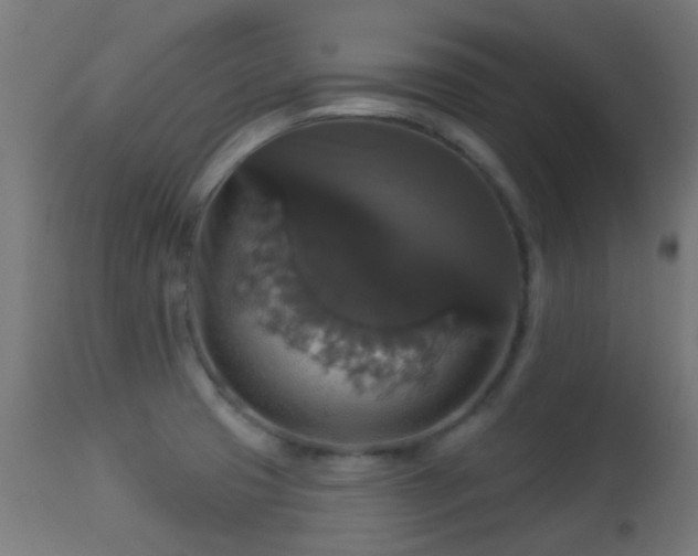 X0000113281425200909211029