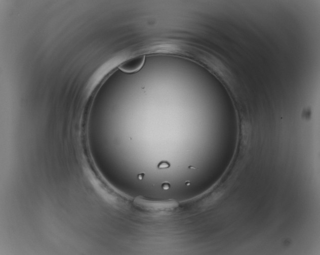 X0000113281426200909211029