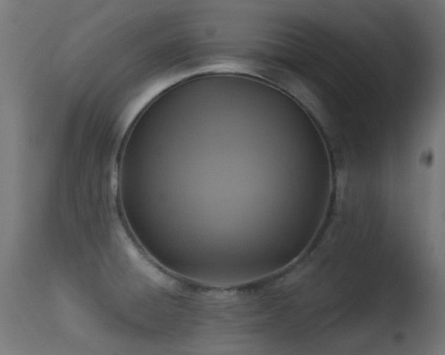 X0000113281428200909211029