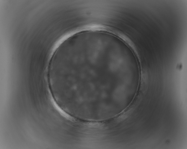 X0000113281429200909211029