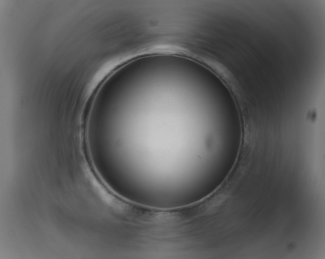 X0000113281430200909211029