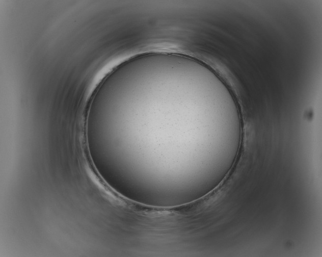 X0000113281432200909211029