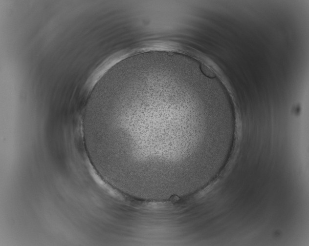 X0000113281433200909211029